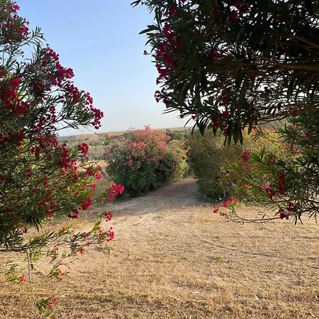 Anna Uggiano La Chiesa